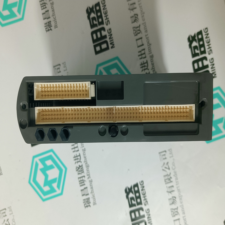 ICS TRIPLEX T9110(圖3) ICS TRIPLEX T9110(圖3)