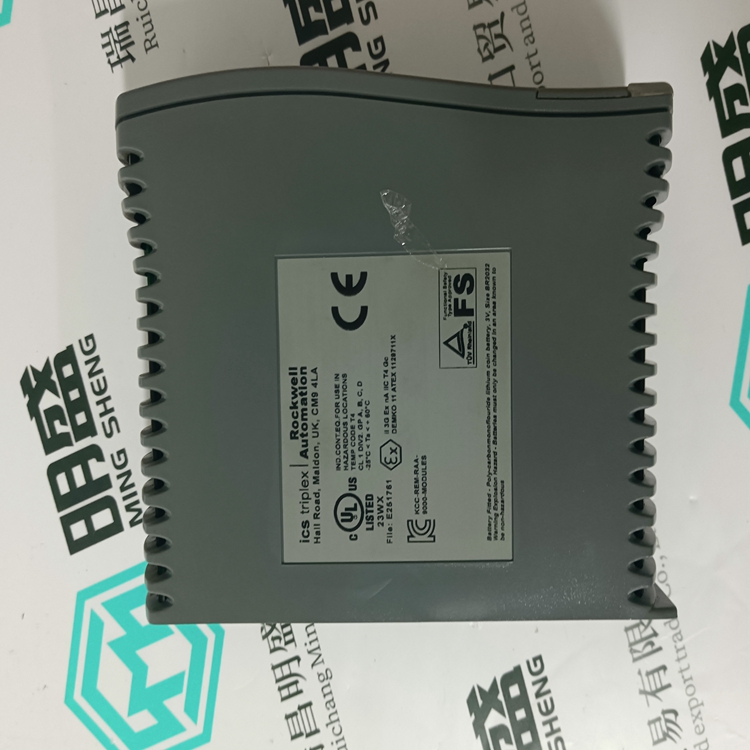 ICS TRIPLEX T9110(圖4) ICS TRIPLEX T9110(圖4)