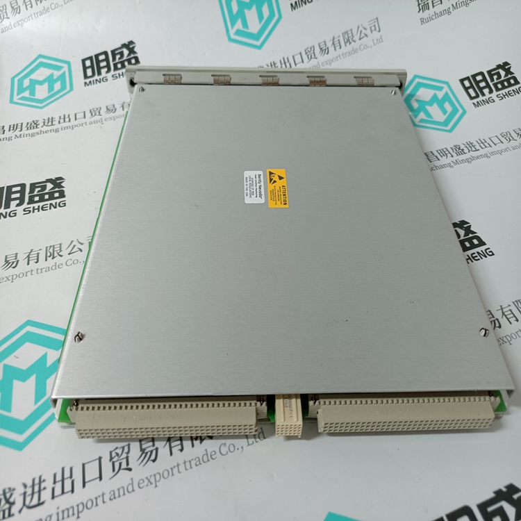 BENTLY 138607-01(圖2) 3500 22M 138607-01 (3).jpg