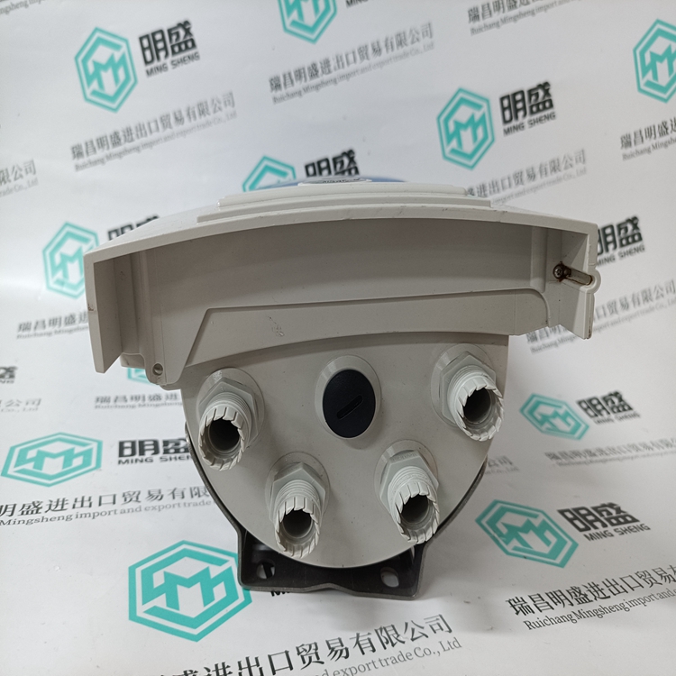 IFC300W(圖3) OPTIFLUX4300W IFC300W (3).jpg