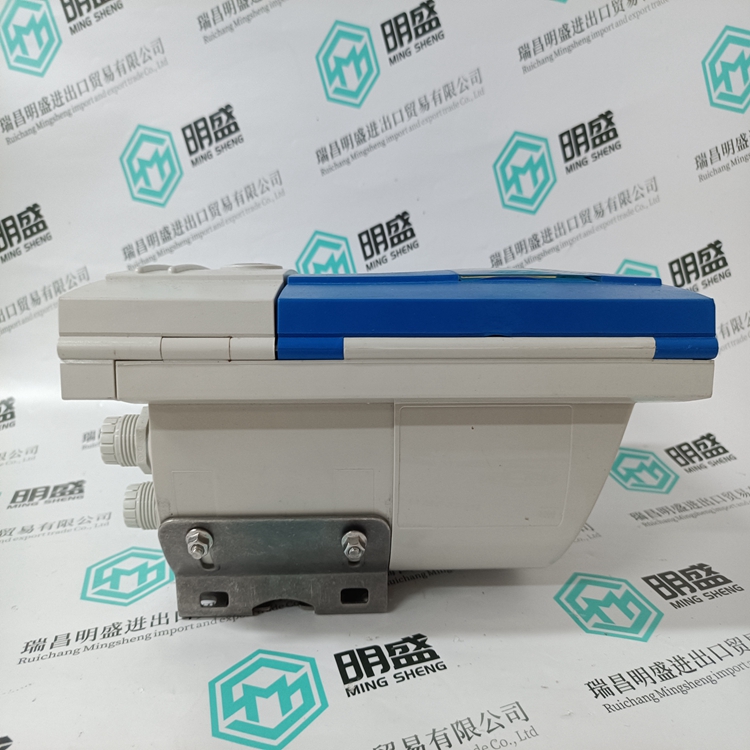 IFC300W(圖2) OPTIFLUX4300W IFC300W (2).jpg