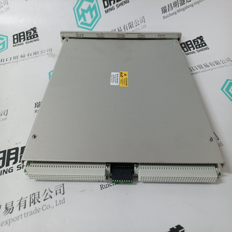 BENTLY 3500/42M(圖3) 3500 42M 176449-02 (4).jpg