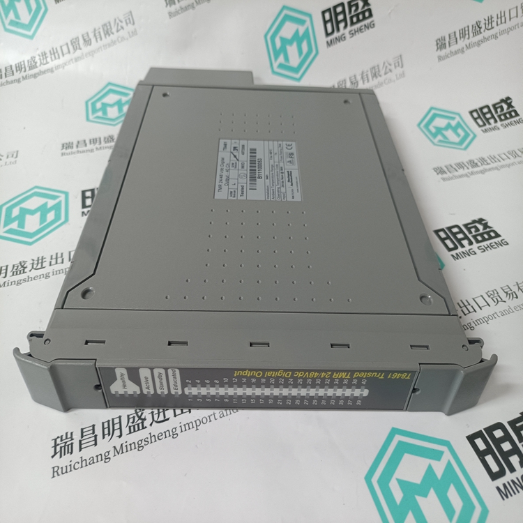 ICS TRIPLEX T8461(圖3) ICS TRIPLEX T8461 (5).jpg