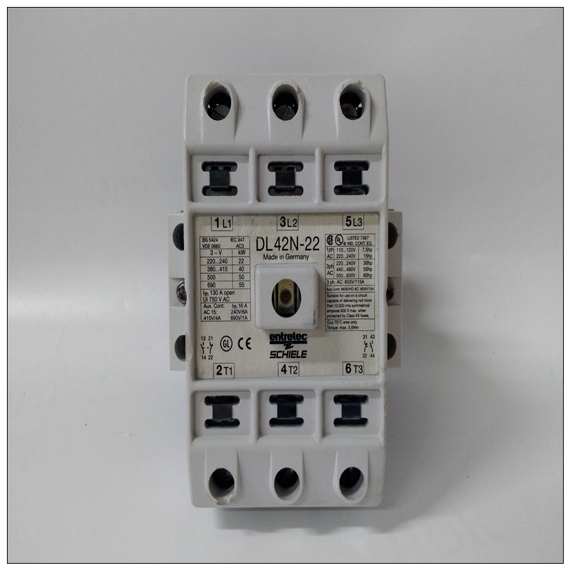 SCHIELE DL42N-22模塊