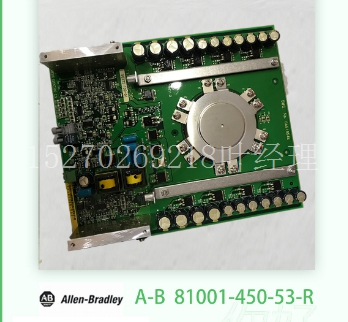 ICS TRIPLEX 9833脈沖輸入卡件(圖3) A-B 81001-450-53R.jpg