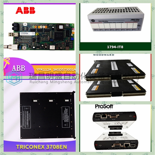 YOKOGAWA AAI835-H00模擬輸入模塊(圖2) 光影魔術(shù)手拼圖4.jpg